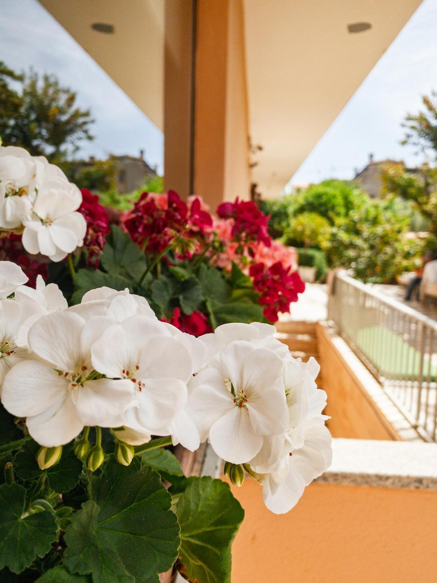 Hotel Donatella Посада Экстерьер фото